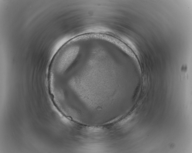 X0000091461103200709061751