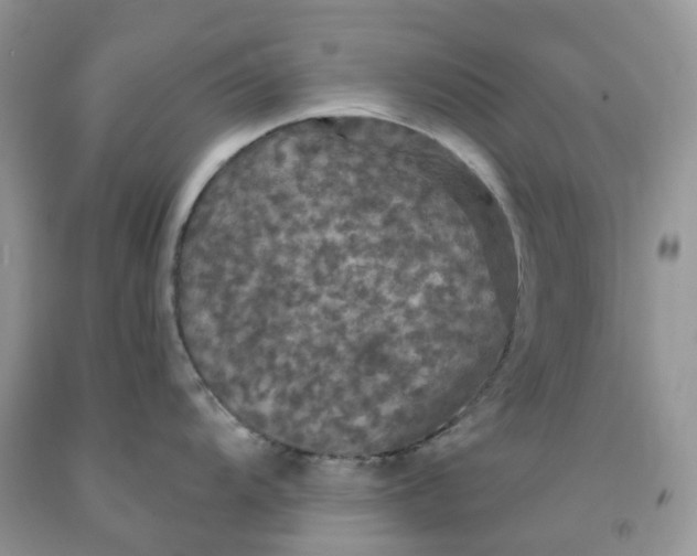 X0000091461104200709061751