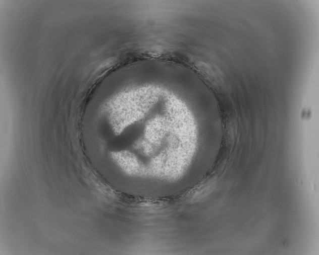 X0000091461105200709061750