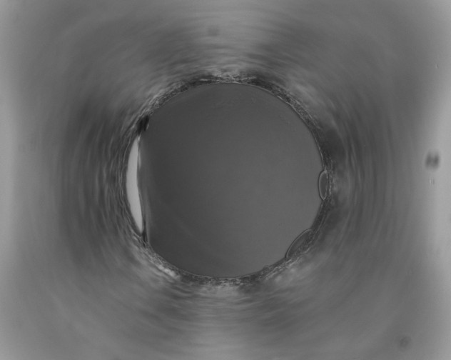 X0000091461106200709061750