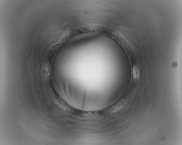 X0000091461107200709061750