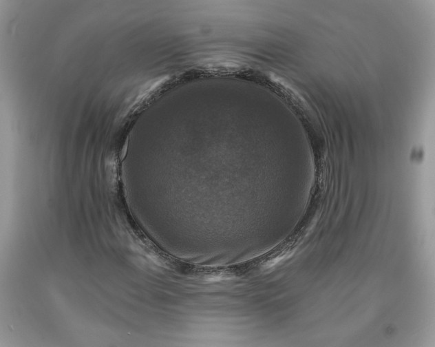 X0000091461108200709061750