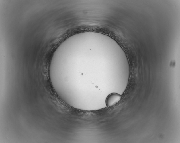 X0000091461109200709061750