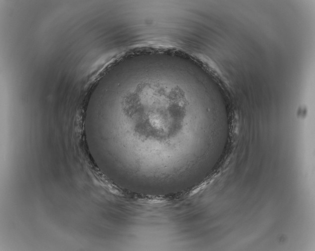 X0000091461110200709061750