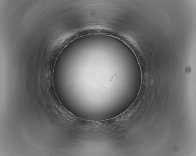 X0000091461111200709061750