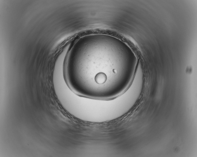 X0000091461112200709061750