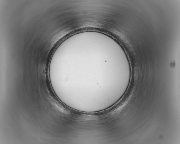 X0000091461113200709061750