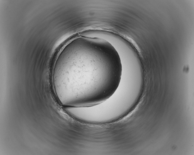 X0000091461114200709061750