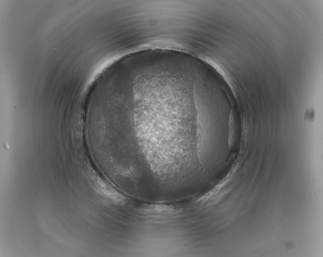 X0000091461115200709061750