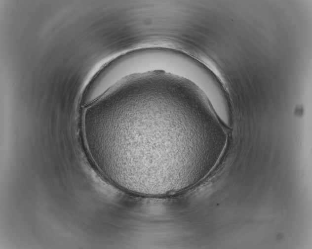 X0000091461116200709061750