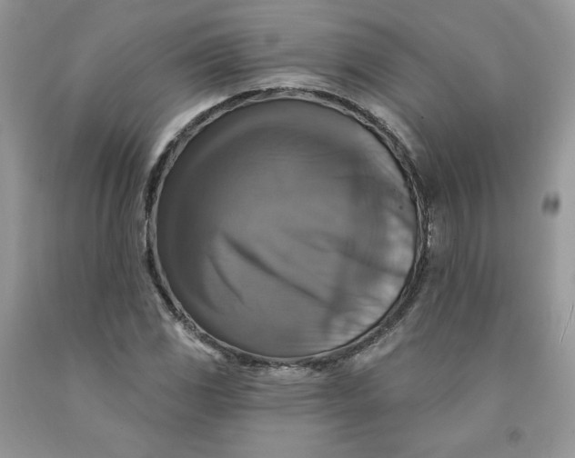 X0000091461117200709061750