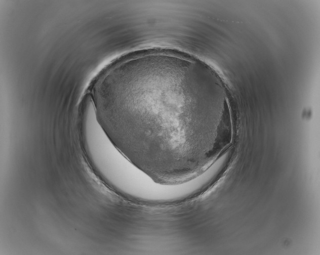 X0000091461118200709061750