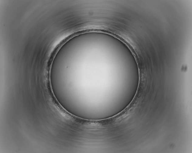 X0000091461119200709061750