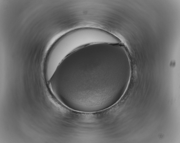 X0000091461120200709061751