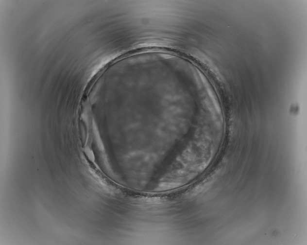 X0000091461121200709061751