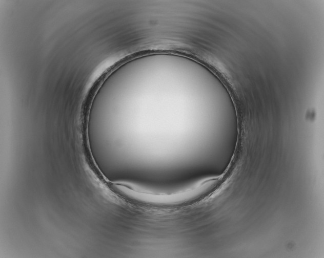 X0000091461122200709061751