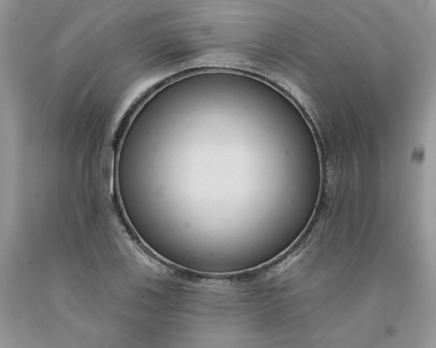 X0000091461123200709061751