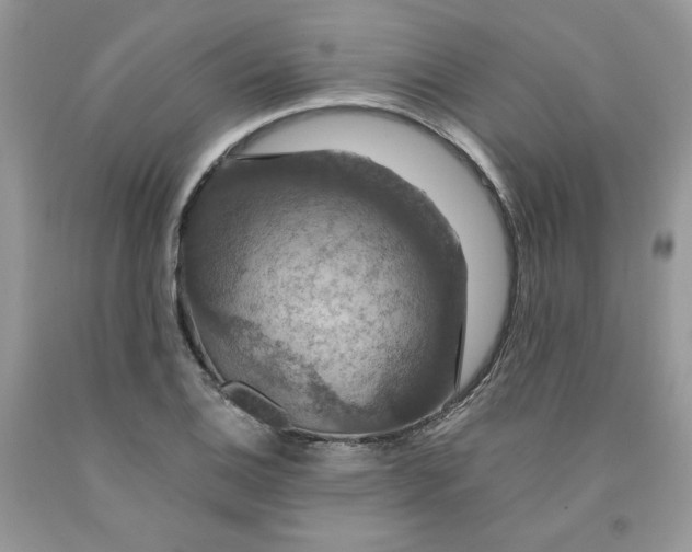 X0000091461124200709061751