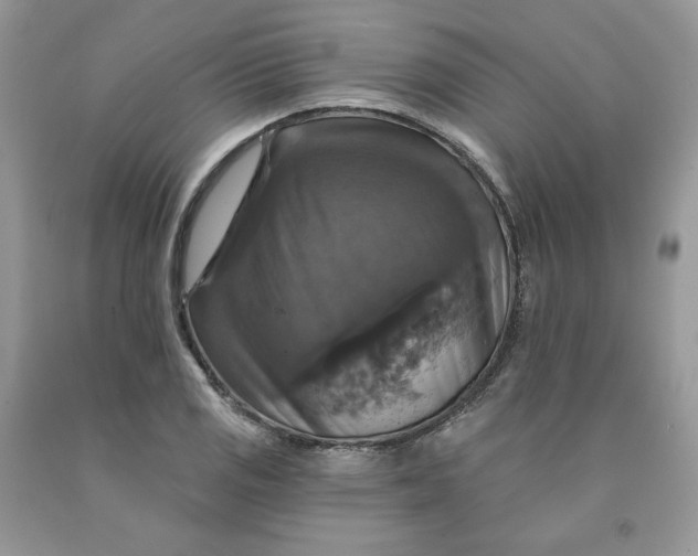 X0000091461125200709061751