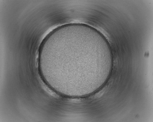 X0000091461126200709061751