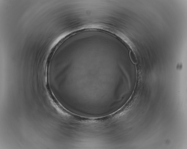 X0000091461127200709061751