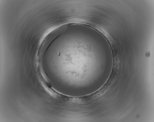 X0000091461128200709061751