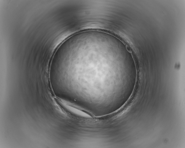 X0000091461129200709061751