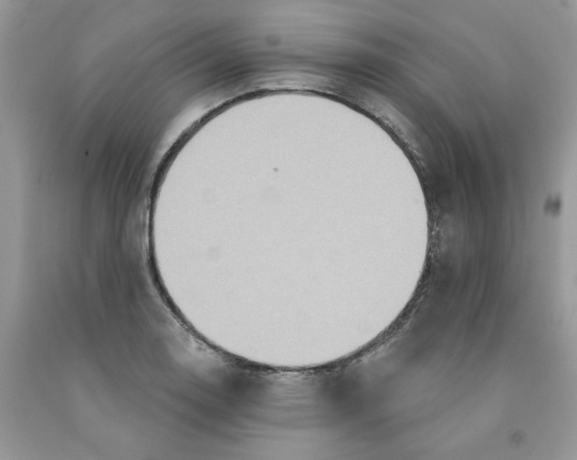 X0000091461130200709061751