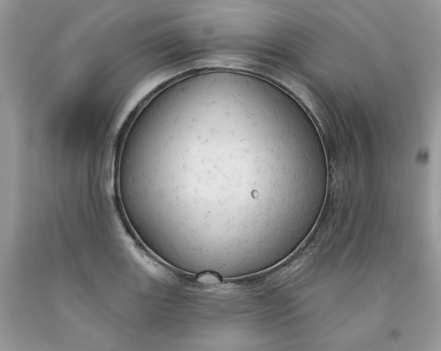 X0000091461131200709061751