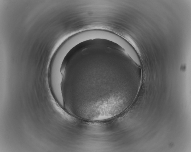 X0000091461132200709061751