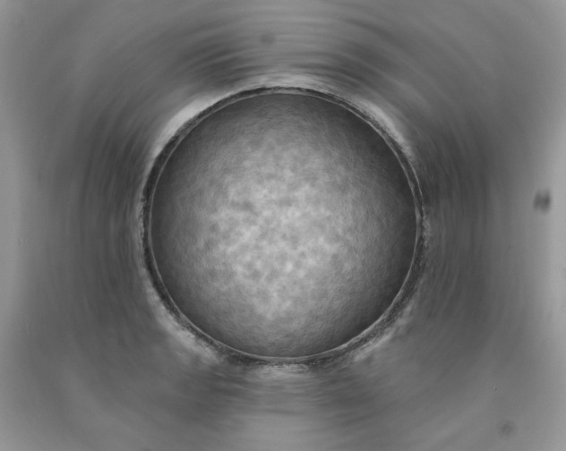 X0000091461133200709061751