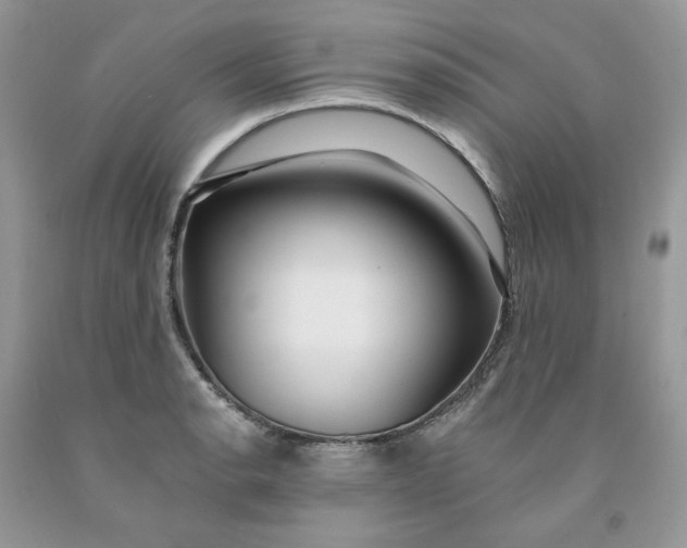 X0000091461134200709061751