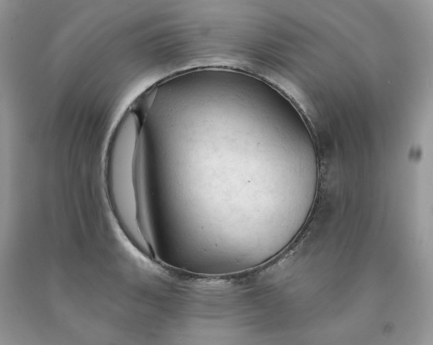 X0000091461135200709061751