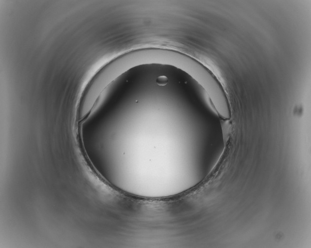 X0000091461136200709061751