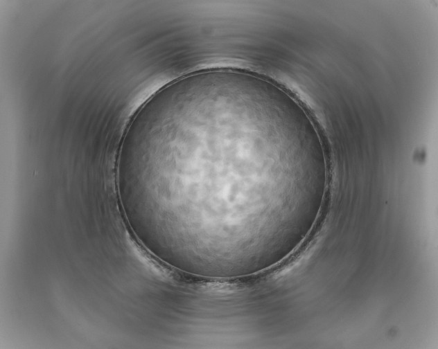 X0000091461137200709061751