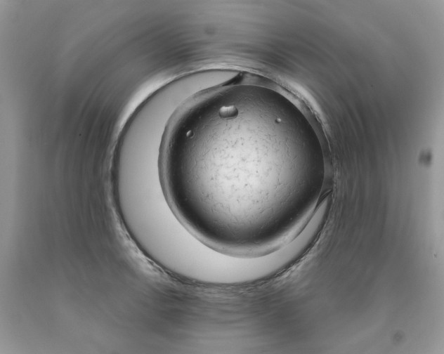 X0000091461138200709061751