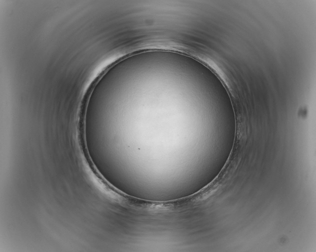 X0000091461139200709061751