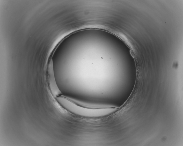 X0000091461140200709061751