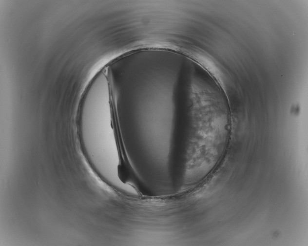 X0000091461141200709061751