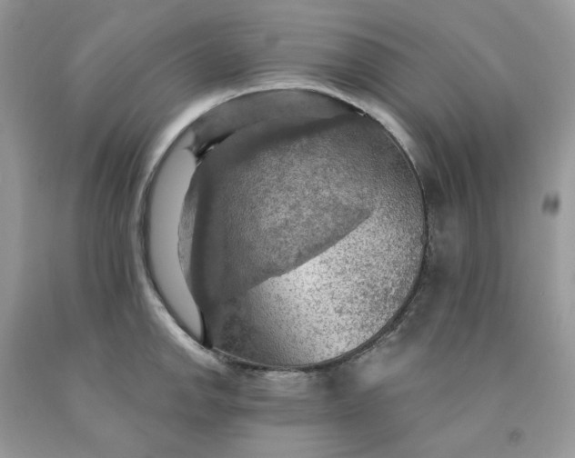 X0000091461142200709061751