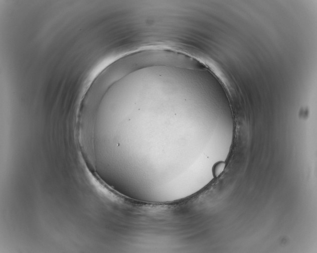 X0000091461143200709061751