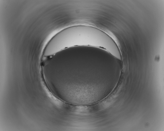 X0000091461144200709061751