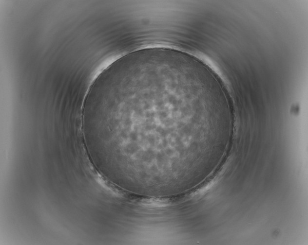 X0000091461145200709061751