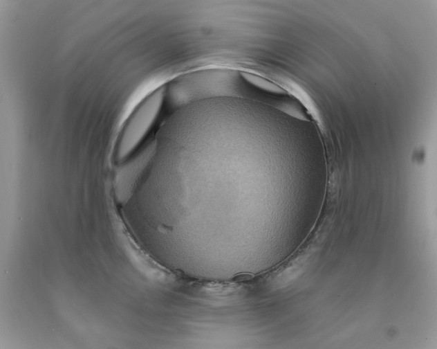 X0000091461146200709061751