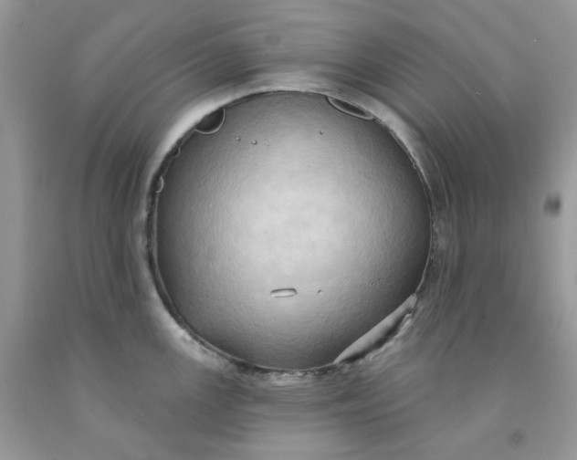 X0000091461147200709061751