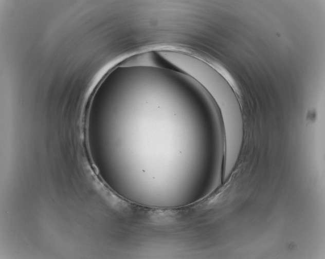 X0000091461148200709061751