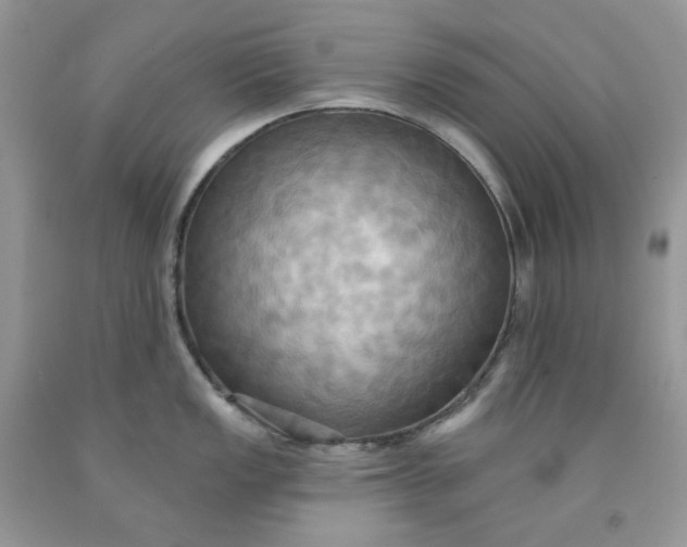 X0000091461149200709061751