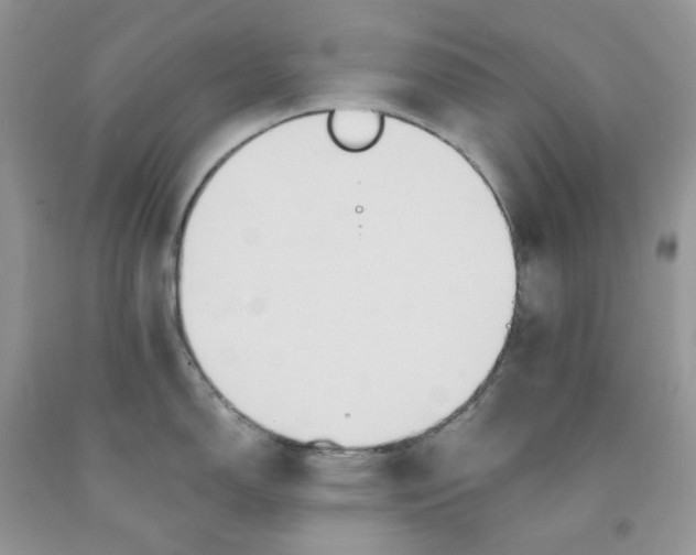 X0000091461150200709061751