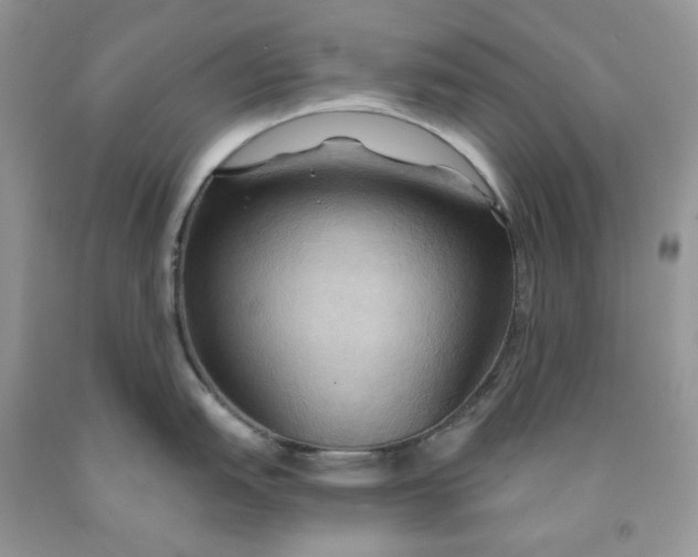 X0000091461151200709061751