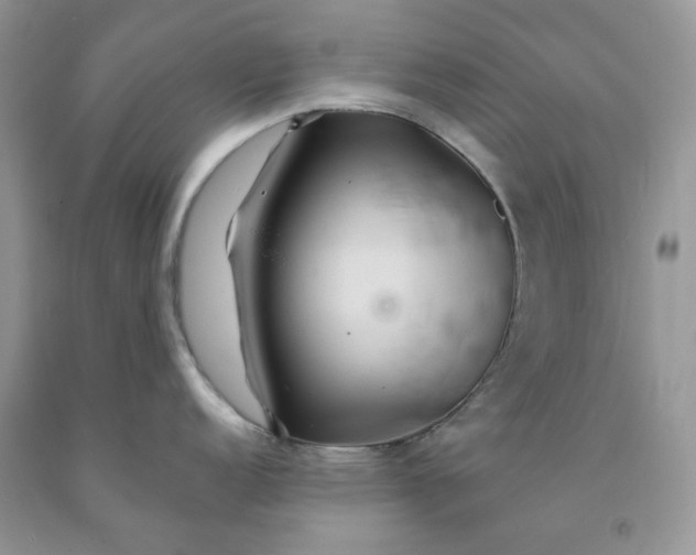 X0000091461152200709061751